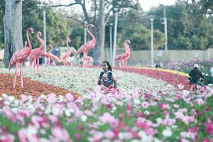 BIB: 
                            <button type="button" onclick="openModal(27344056)" class="btn btn-primary btn-sm float-right btn-popup" data-toggle="modal" data-target=".modal-high-quality">
                        <i class="fas fa-shopping-cart"></i> Add to Cart
                    </button>
                                            <button type="button" onclick="isThisMe(27344056, true)" class="btn btn-success btn-sm float-right btn-popup btn-isme hidden" data-toggle="tooltip" data-placement="bottom" title="นี่คือรูปของคุณใช่ไหม คลิกที่นี่เพื่อเอาเข้าอัลบั้ม">
                        <i class="fas fa-plus"></i> Add to album
                    </button>
                    <button type="button" onclick="isThisMe(27344056, false)" class="btn btn-warning btn-sm float-right btn-popup btn-isnotme hidden">
                        <i class="fas fa-ban"></i> Remove from album
                    </button>